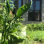 호텔 Melinda & Restaurant 3*