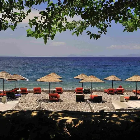 Melinda & Restaurant Mesudiye (Datca)