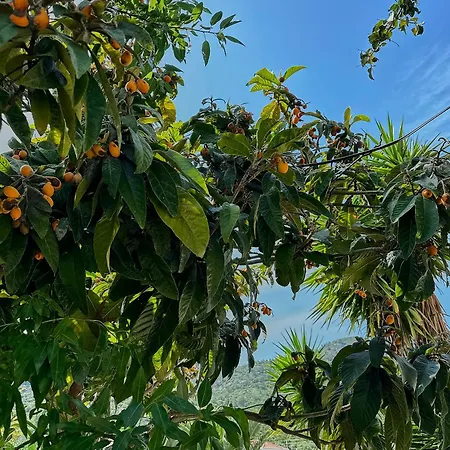 Melinda & Restaurant Casa de hóspedes Mesudiye (Datca)