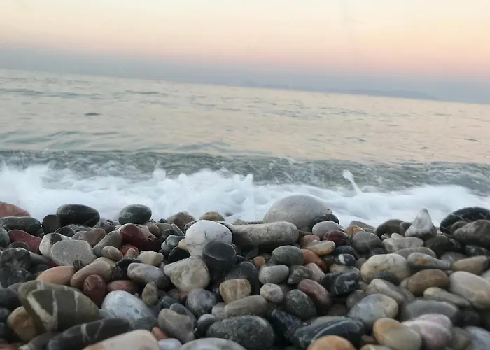 Melinda & Restaurant