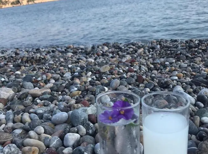 Penzion Melinda & Restaurant 3*