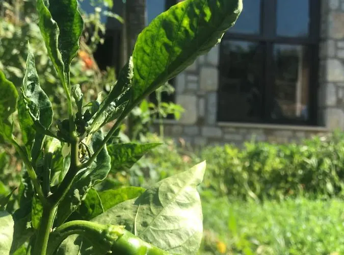 ホテル Melinda & Restaurant 3*