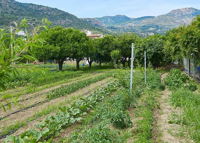 Melinda & Restaurant