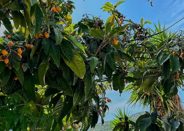 Melinda & Restaurant Penzion Mesudiye (Datca)